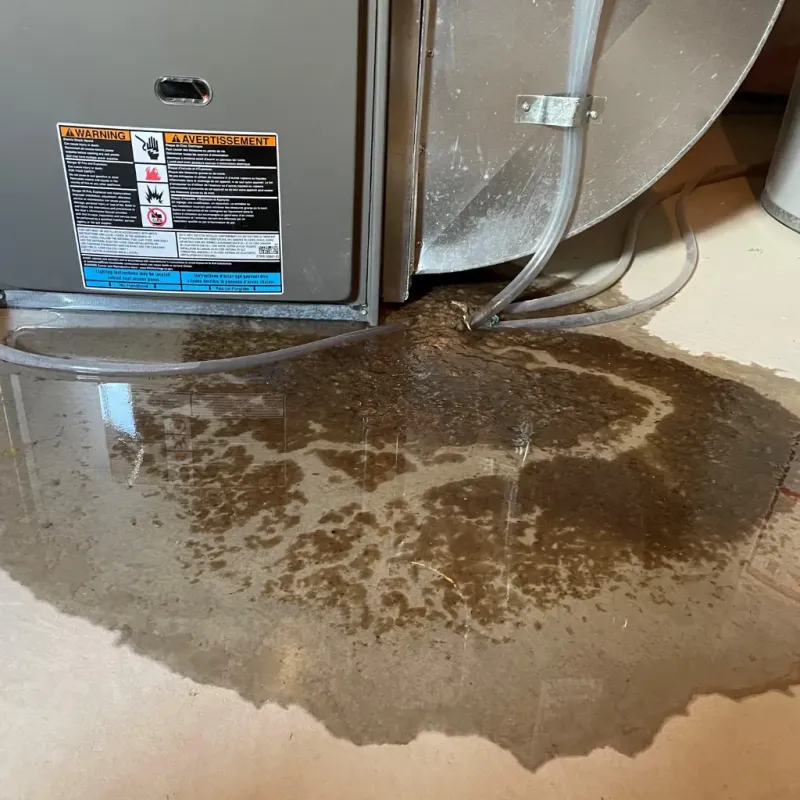 Appliance Leak Cleanup in Coal City, WV