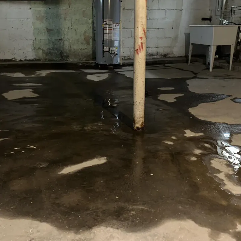 Emergency Water Extraction And Removal in Coal City, WV